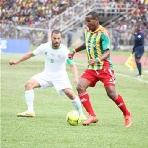 Expert MLB Bet Picks for Smart Betting